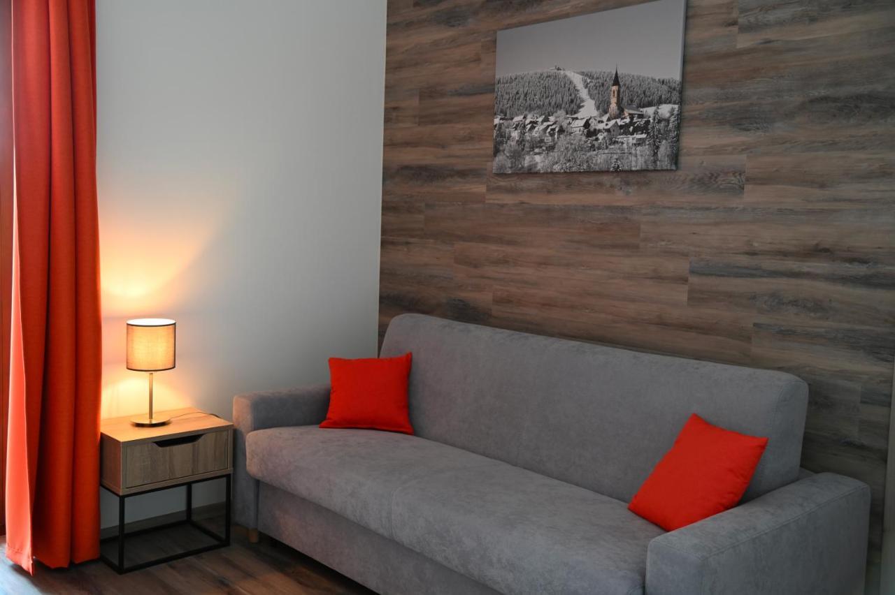 Penzion Koeniguv Mlyn Loučná pod Klínovcem Extérieur photo