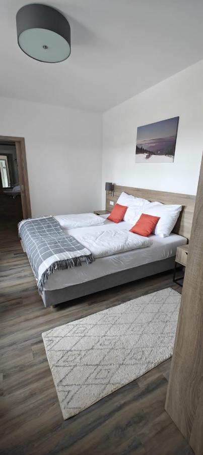 Penzion Koeniguv Mlyn Loučná pod Klínovcem Extérieur photo